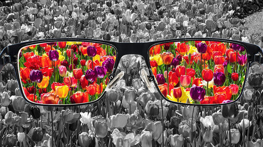 Facts About Color Blindness