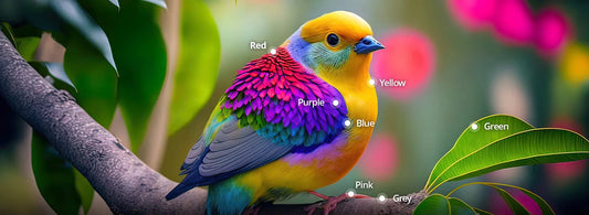 Types of Color Blindness
