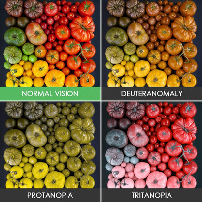 Dwbulndok - Outdoor Deutan and Protan Colour Blind Glasses