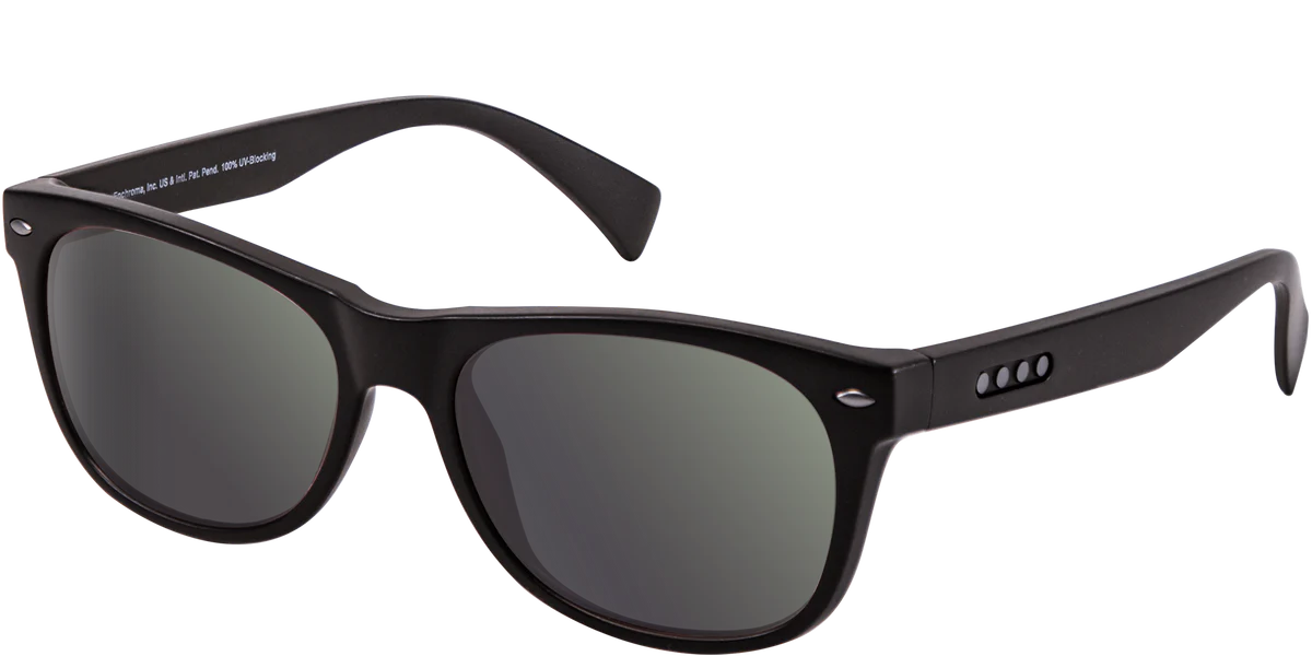 Enchroma - Ellis Cx2 Shade Colour Blind Glasses